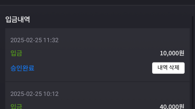 비제휴후기