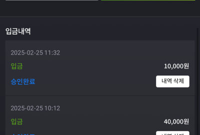 비제휴후기